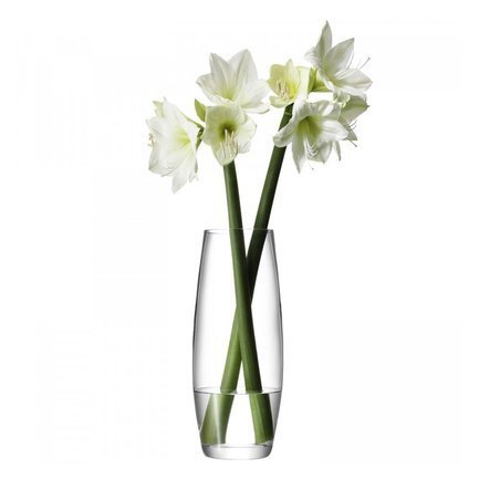     Flower, 41 