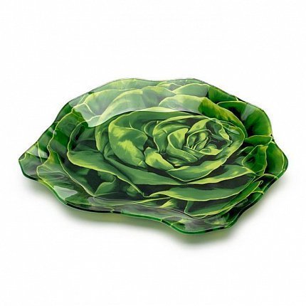   Lettuce, 16x18 