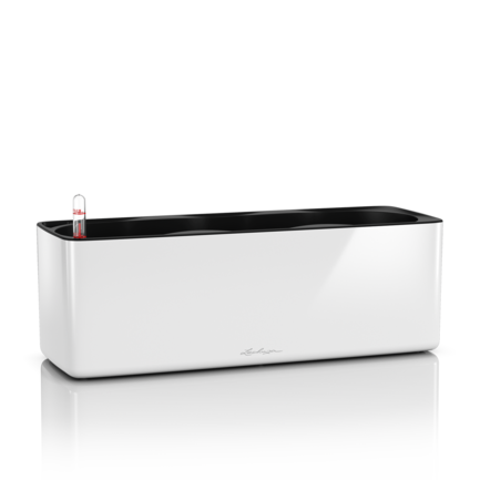  Cube Glossy Triple, 401413.5 ,  ,   