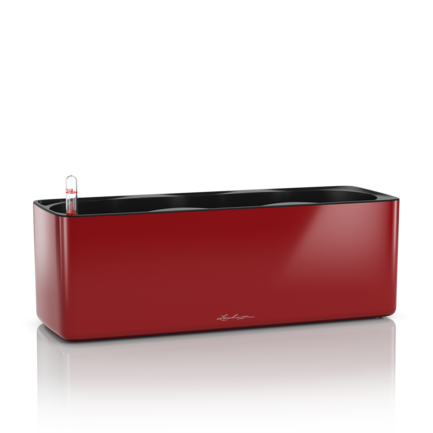  Cube Glossy Triple, 401413.5 ,  ,   