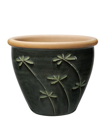  Graminees Vaso, 4233 , 