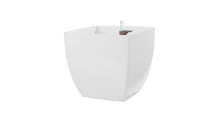    Siena, 404036 ,  ,   