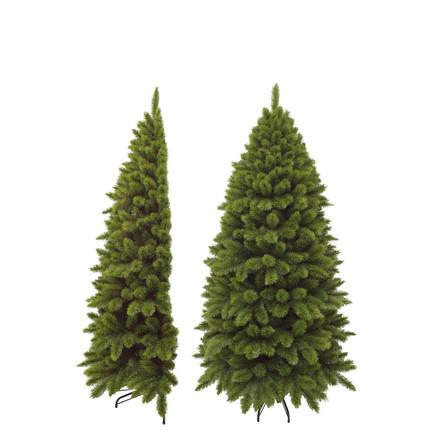   , 215 , 