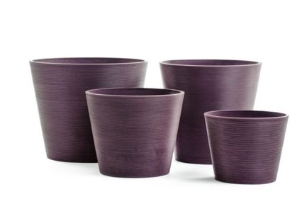  Japonica Mizu Cone, 3441 ,  