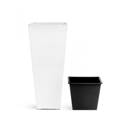 Effectory Gloss  , 904040 ,   