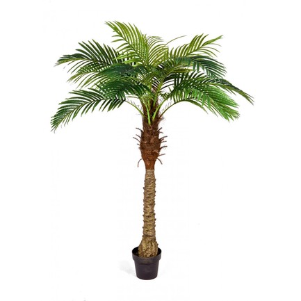    Sensitive Botanic, 19 , 190 