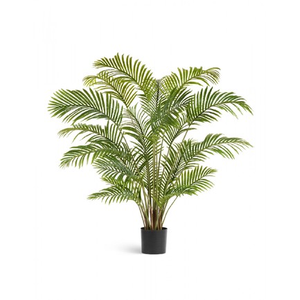    Sensitive Botanic, 150 