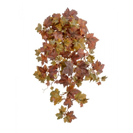   Velvety Touch, 70 , - 