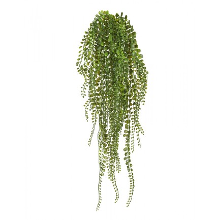   , 70 , 