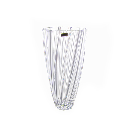    Scallop, 30 