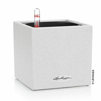  Canto Stone low, 404040 ,  , --