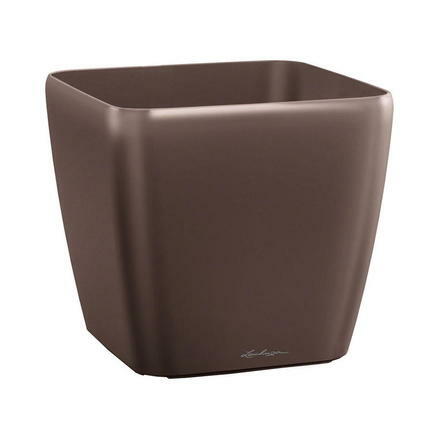  Quadro, 5047 , 