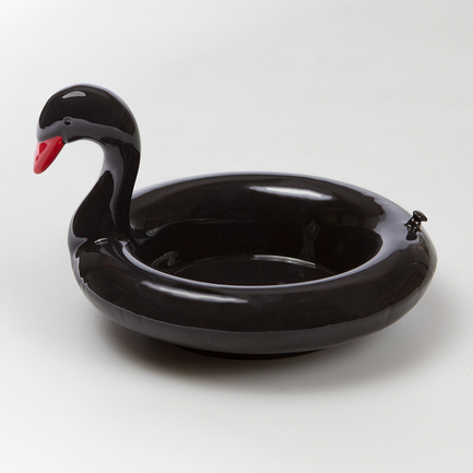    Floatie Black Swan, 181116 