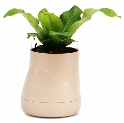   Hill Pot , 13.713 , 