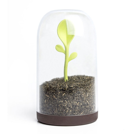       Sprout Jar, 916 