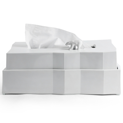    Polar Bear Iceberg