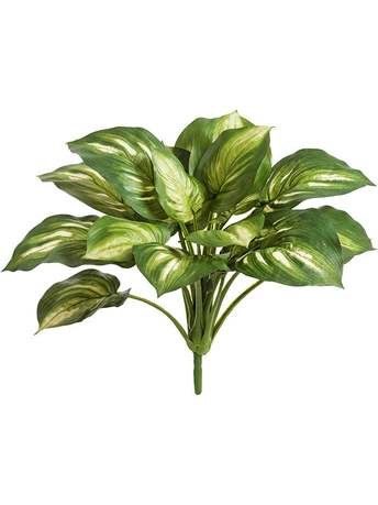   Sensitive Botanic, 6040 , -