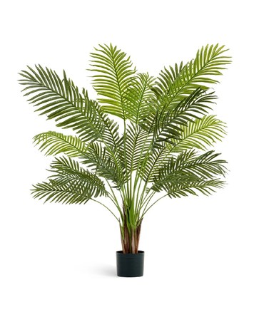    Sensitive Botanic, 21 , 120 