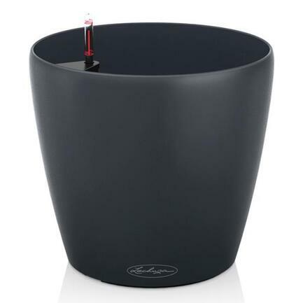  Classico Color, 6055 , -, --