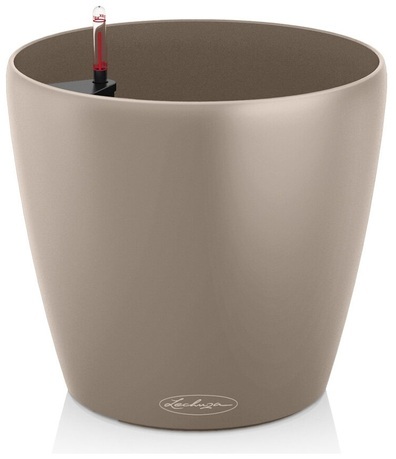  Classico Color, 7065 , -, --
