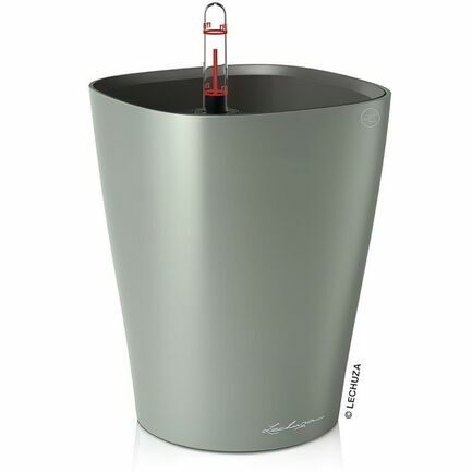    Deltini, 1418 ,    ,  