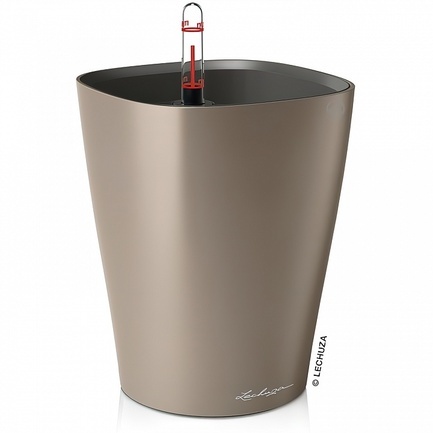    Deltini, 1418 ,    ,  