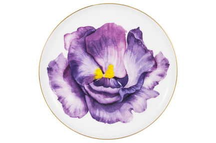   Iris, Flowers,  , 19 