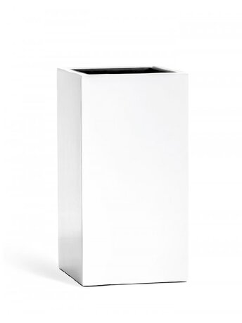  Effectory Gloss  , 603131 ,   