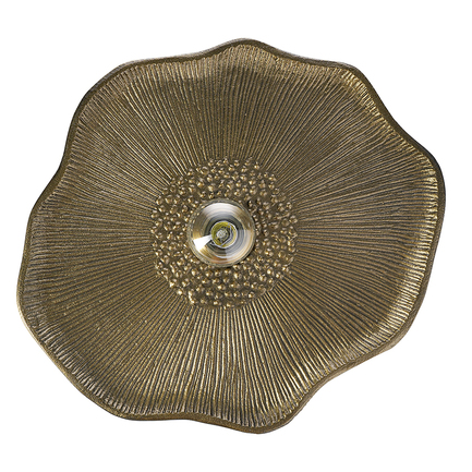   Wildflower, 4146 ,  