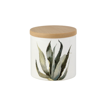    Cactus, 12 