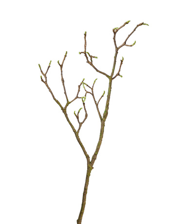     , 93 , -