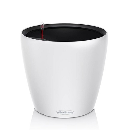    Classico Color LS 21, 2220 ,  