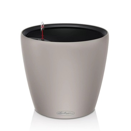    Classico Color LS 35, 3632.5 , - 