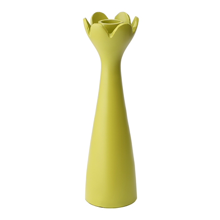  Laminaria, 6.36.323 , 