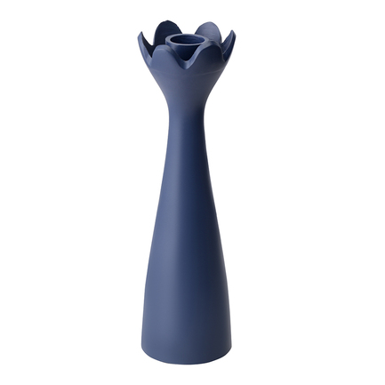  Laminaria, 6.36.323 , 