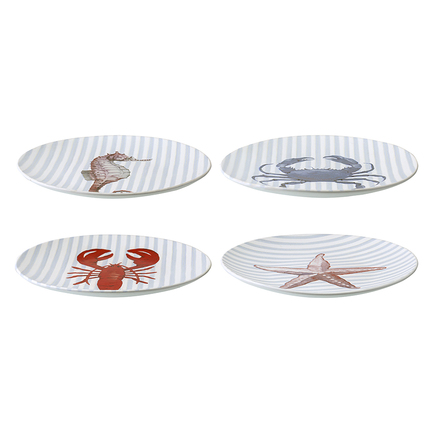     Aquarium Sea treasures, 21.5 