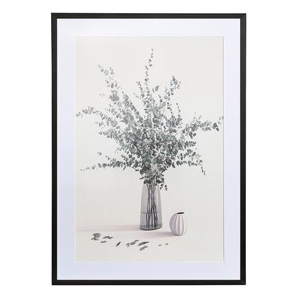   Plant, 5070 ,   