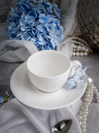 ������ Primavera, 16.1�2.2 ��, �����