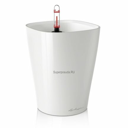  Deltini Premium, ,   , 151519 