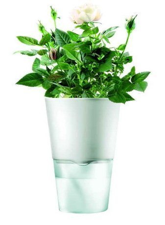 Eva Solo Горшок для растений Herb pot, матово-белый, 11x17.5 см 568103 Eva Solo