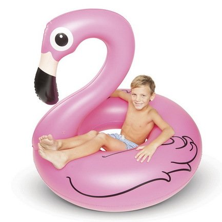   Pink Flamingo