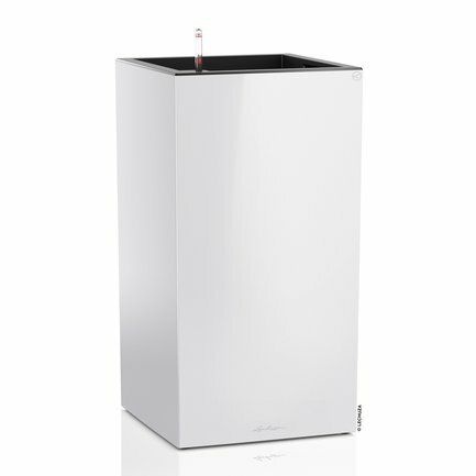    Canto Premium, 4076 ,  