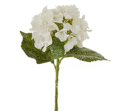    , 51 , 