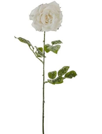    , 74 , 