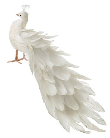  , 502021 , 