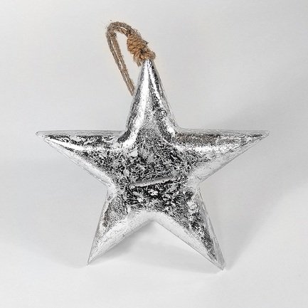   Snow Star, , 15152.5 