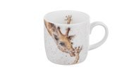 Royal Worcester   (310 )