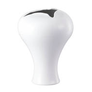 Rosenthal  Opening, 33 