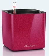 Lechuza  Cube Glossy Kiss, 141413.5 ,  ,   