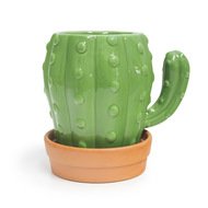  Cactus (450 ), 12.514.410.5 ,  , 